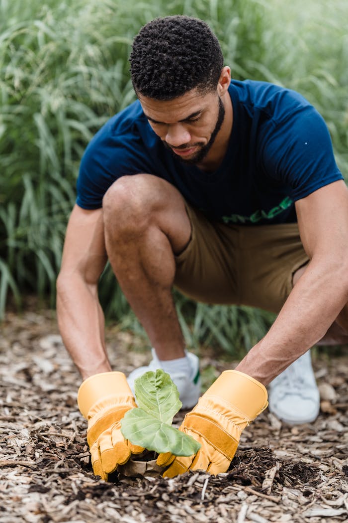 Adult man in yellow gloves planting a sapling, promoting sustainability outdoors.